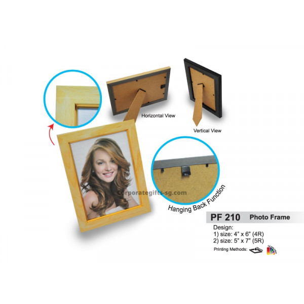 PF 210 Photo Frame